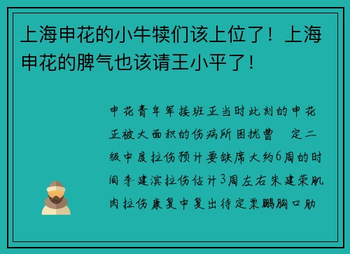 上海申花的小牛犊们该上位了！上海申花的脾气也该请王小平了！